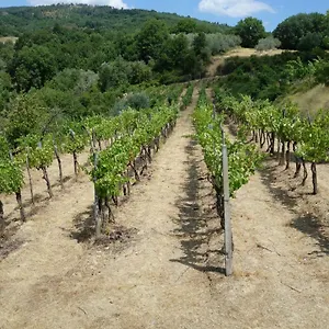  Casa vacanze La Collina Di Piero
